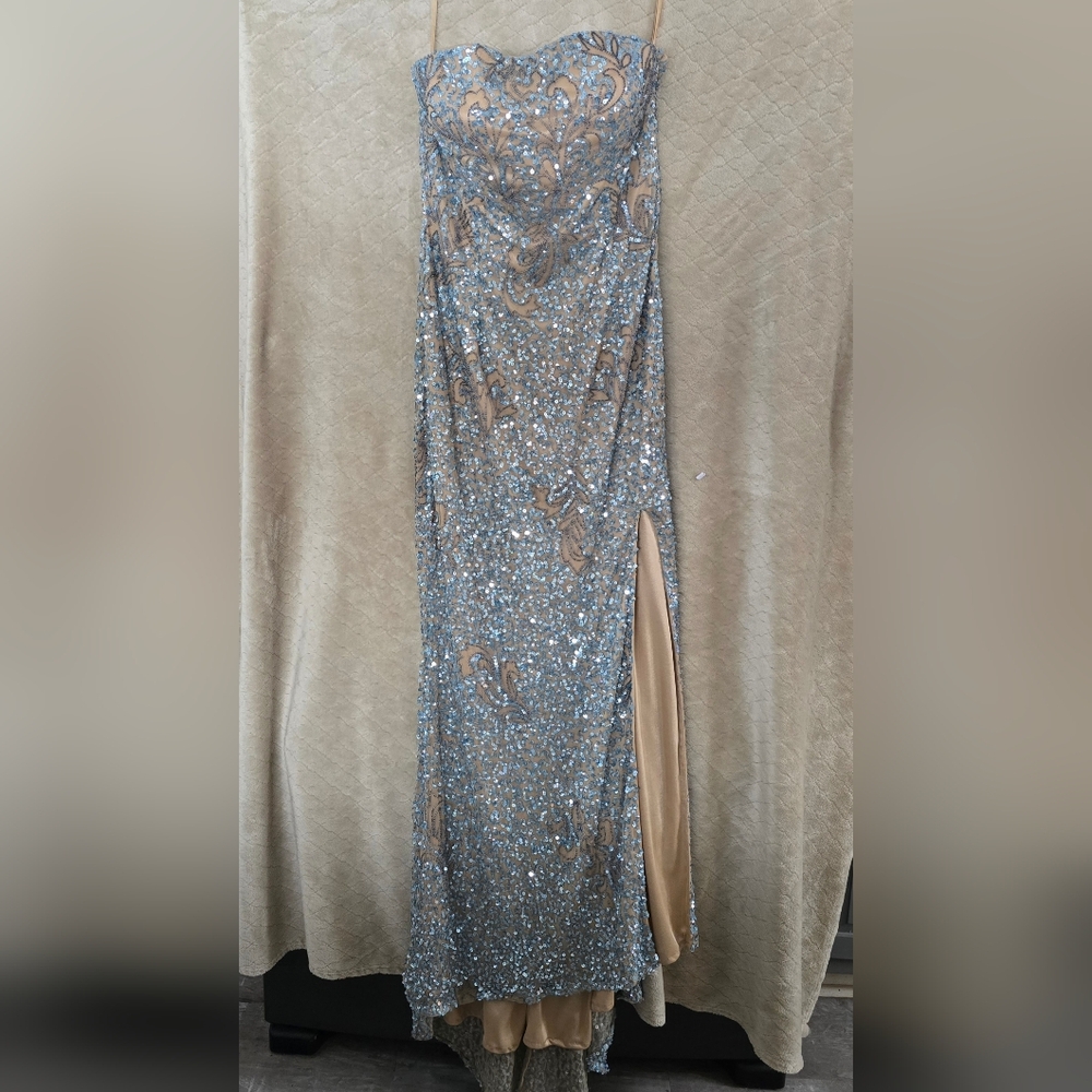 Strapless Gown Size 14